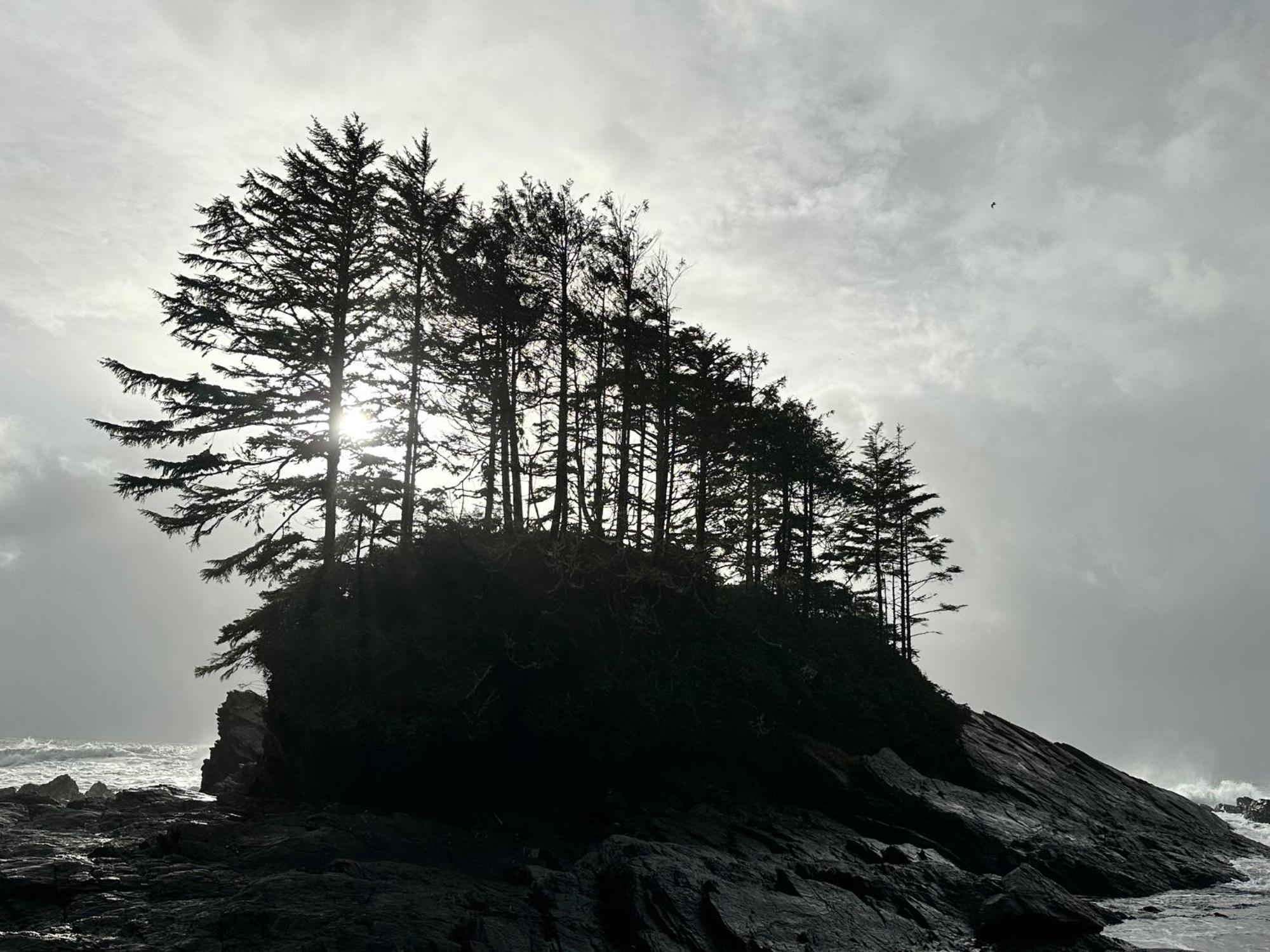 Bjørn Holm Villa Port Renfrew Eksteriør bilde