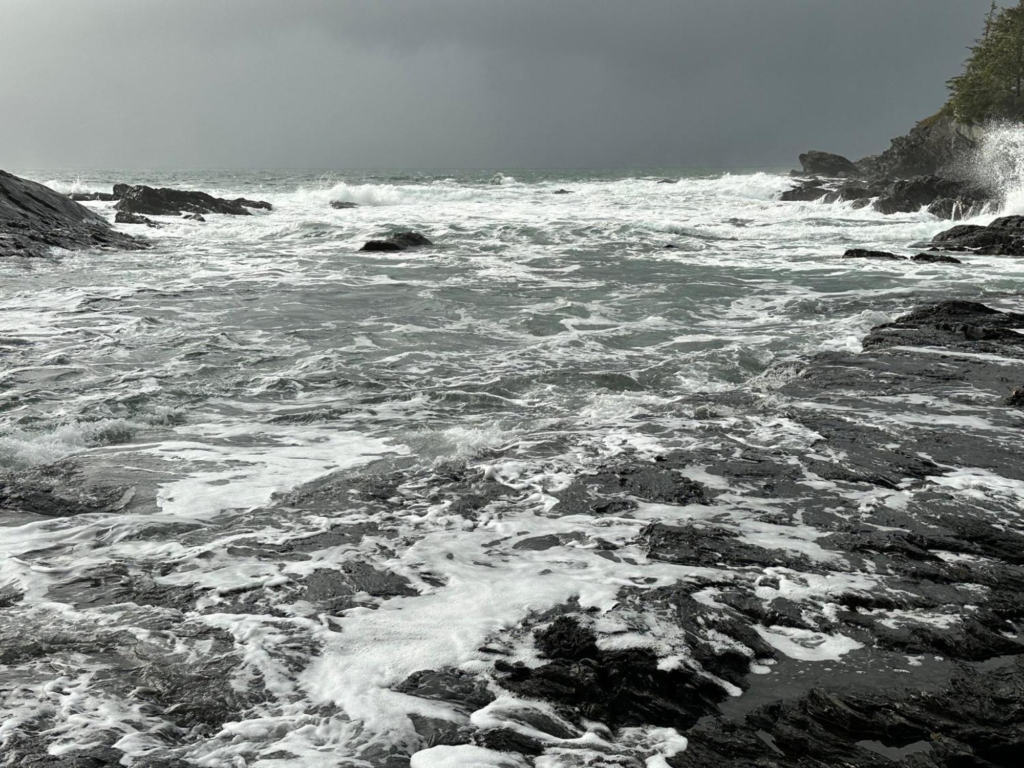 Bjørn Holm Villa Port Renfrew Eksteriør bilde